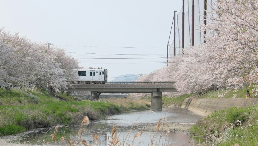 Fukuoka city guide: What to do, restaurants and bars and shopping in Kyushu's vibrant port city