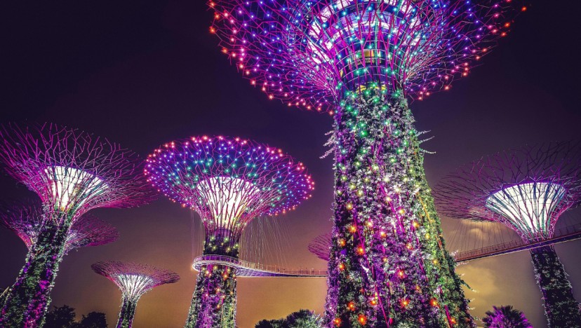 Gardens by the Bay ranked 8th best attraction in the world and top in Asia by Tripadvisor